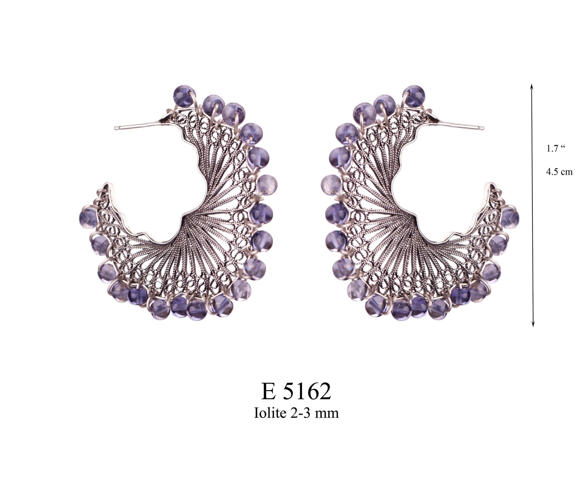Celestial Fan Earrings